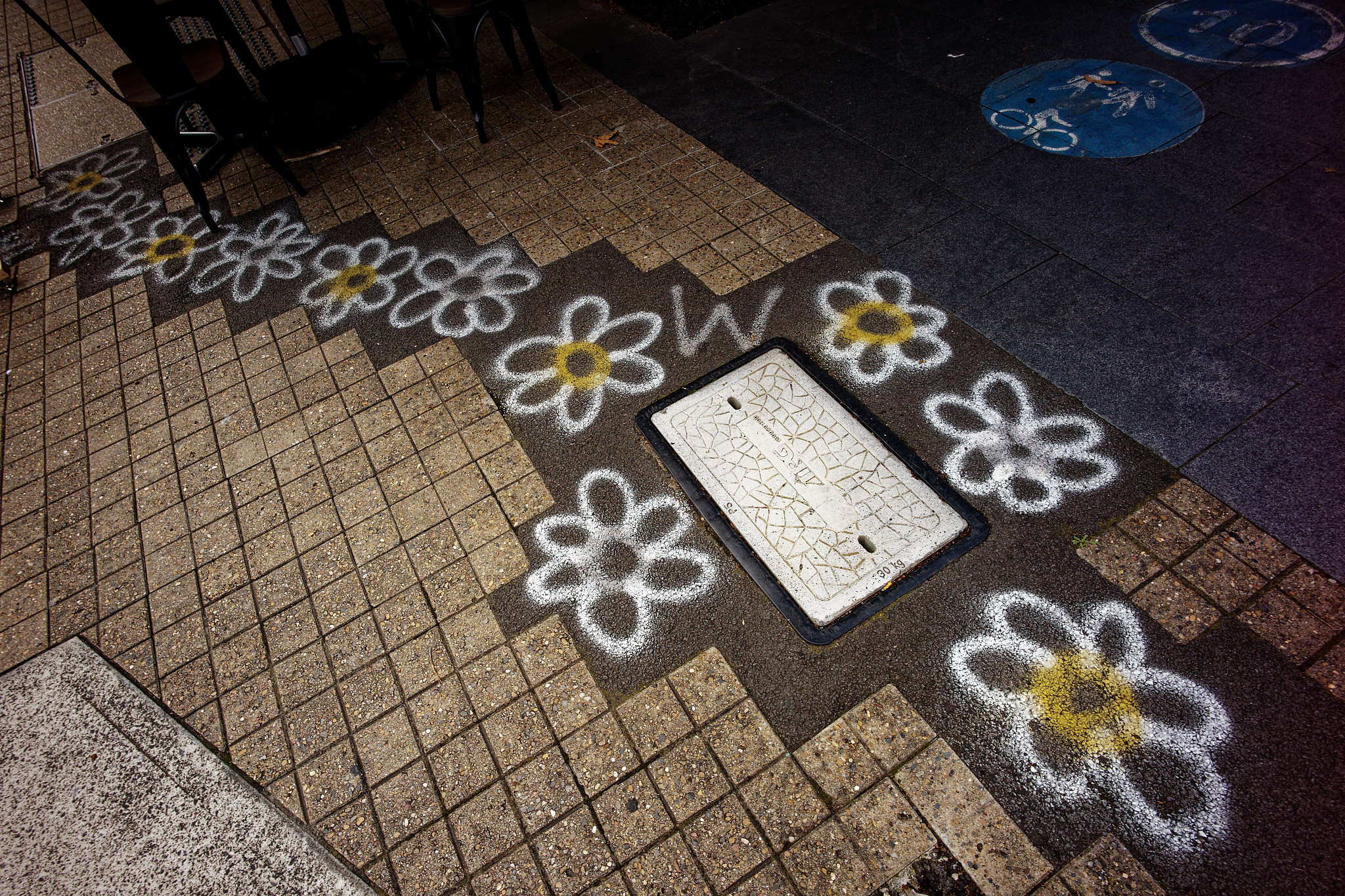 Flowers in the pavement