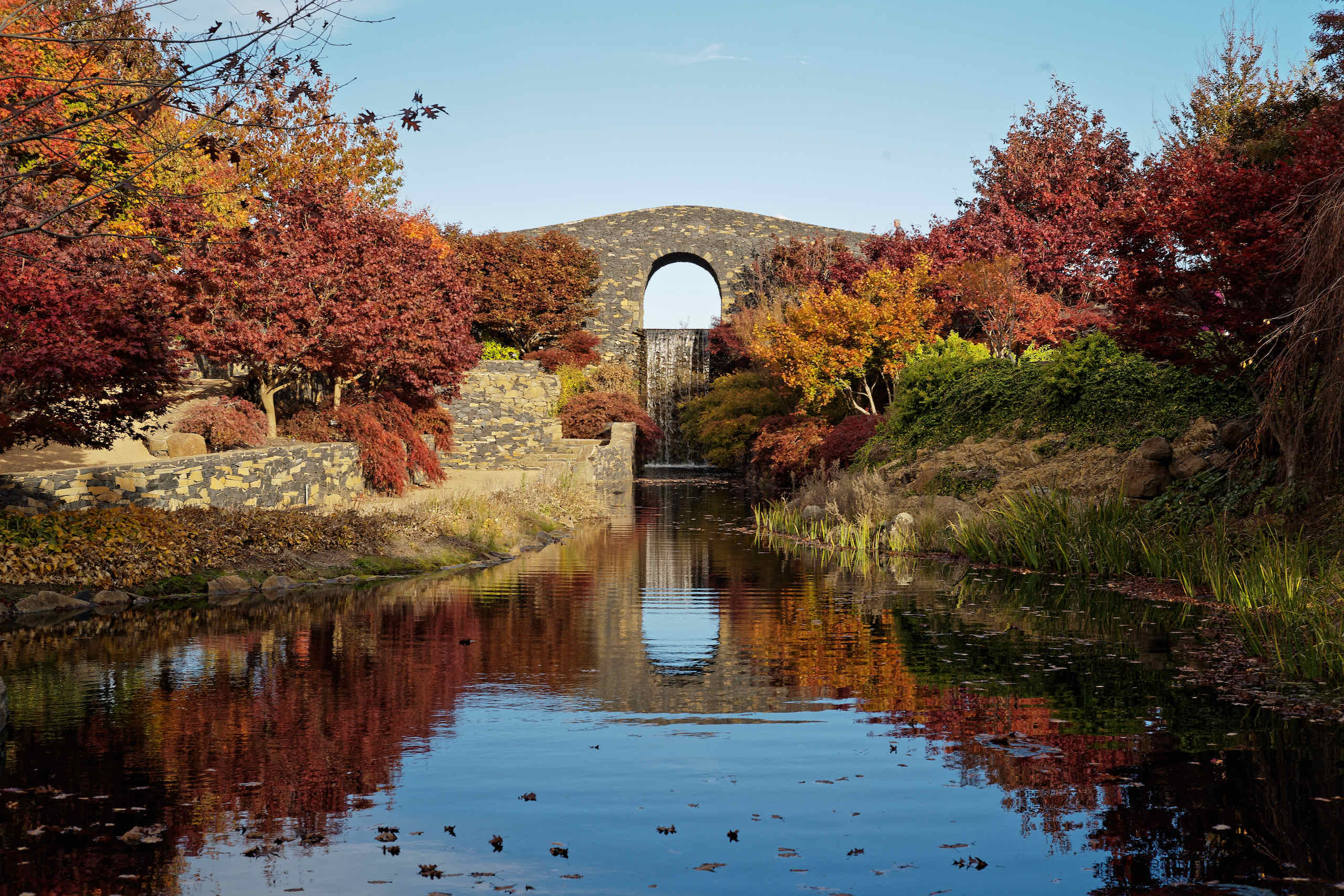 Bridge Reflection