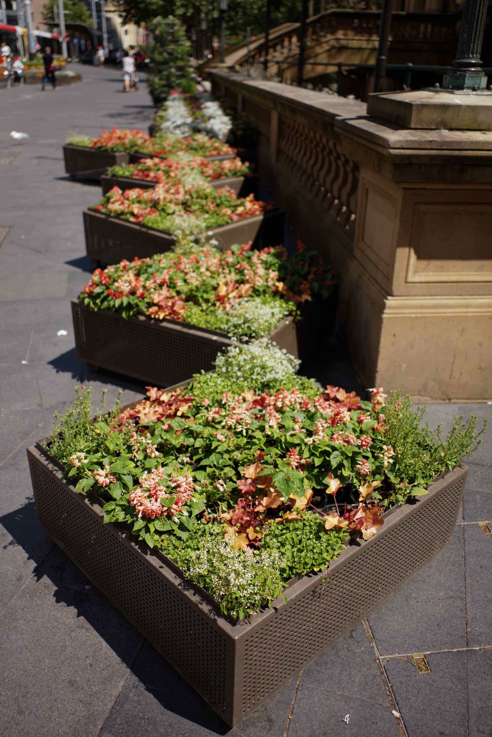 Flower Boxes