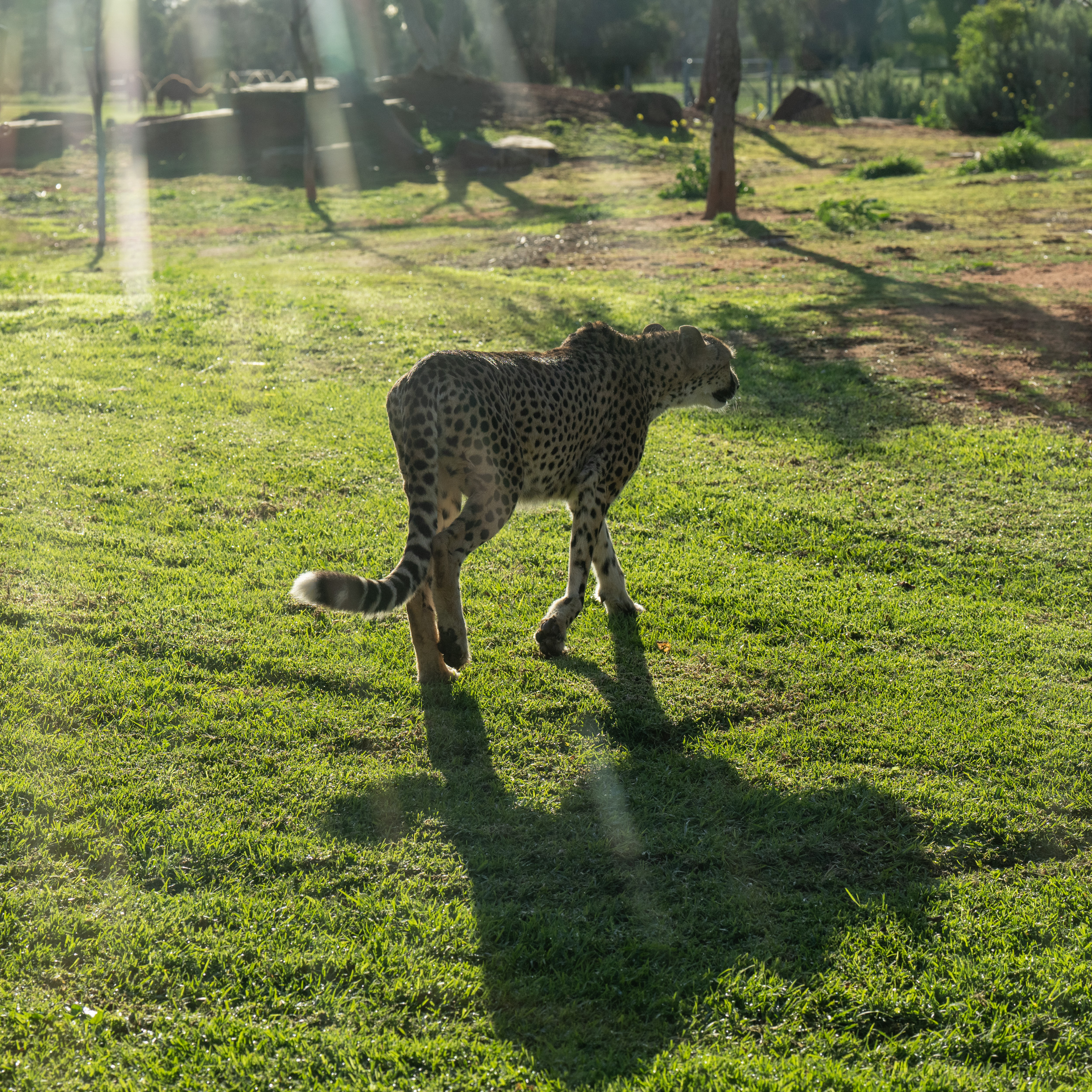 Shooting through glass with the sun at a low angle in the sky