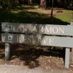 Artarmon Reserve