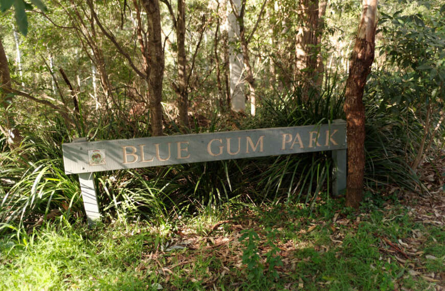 Blue Gum Reserve