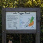 Little Digger Track