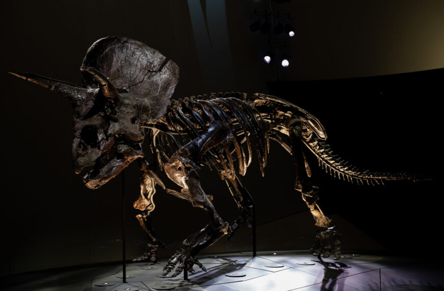Melbourne Museum’s Monster Revisited!