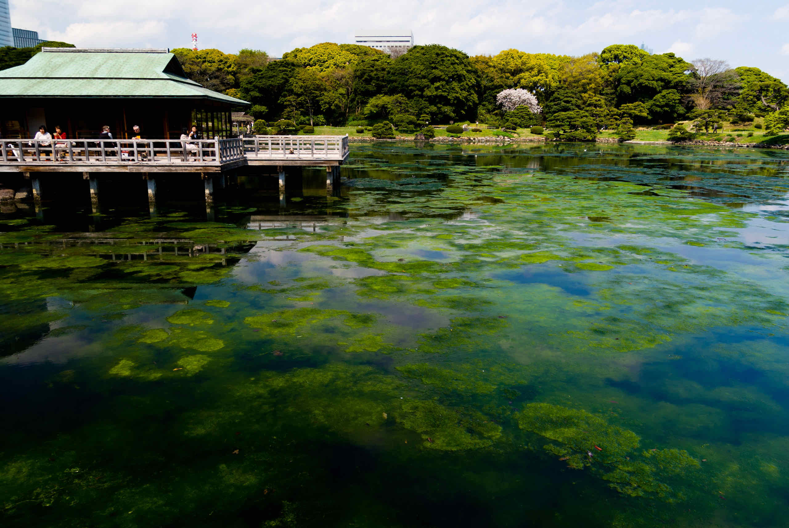 shiori no ike (tidal pond) (潮入の池)