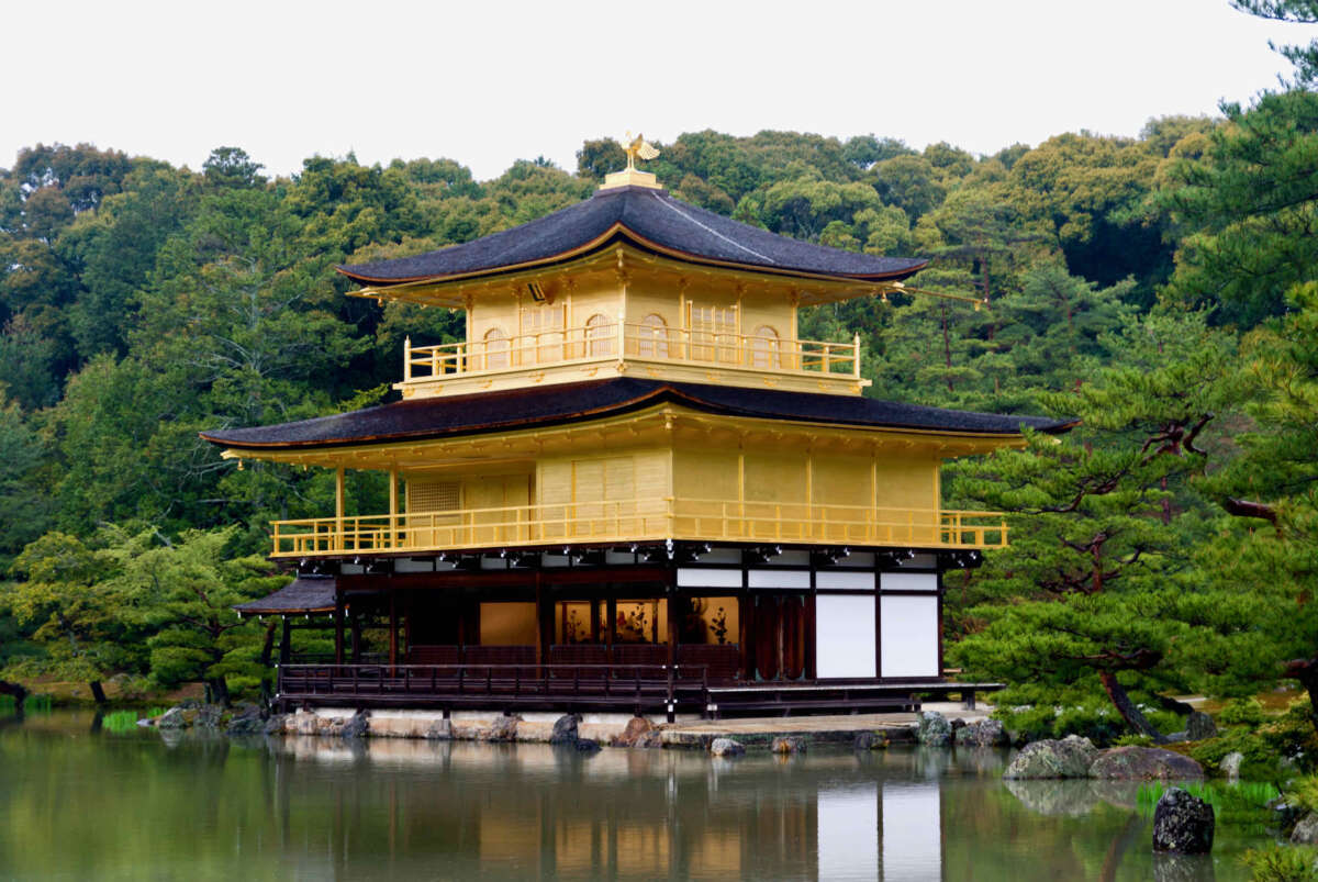 temple of the golden pavilion (金閣寺)
