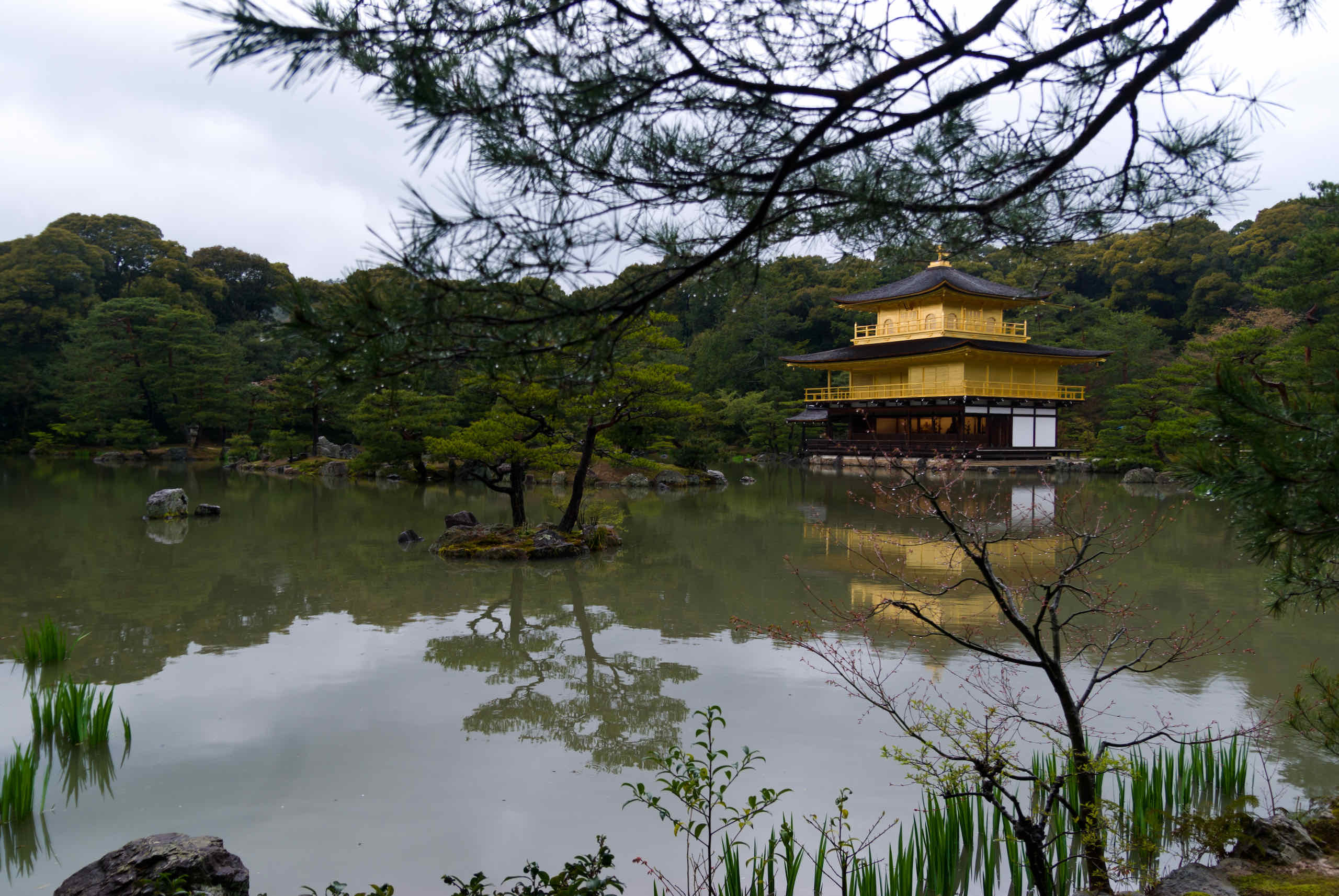 temple of the golden pavilion (金閣寺)