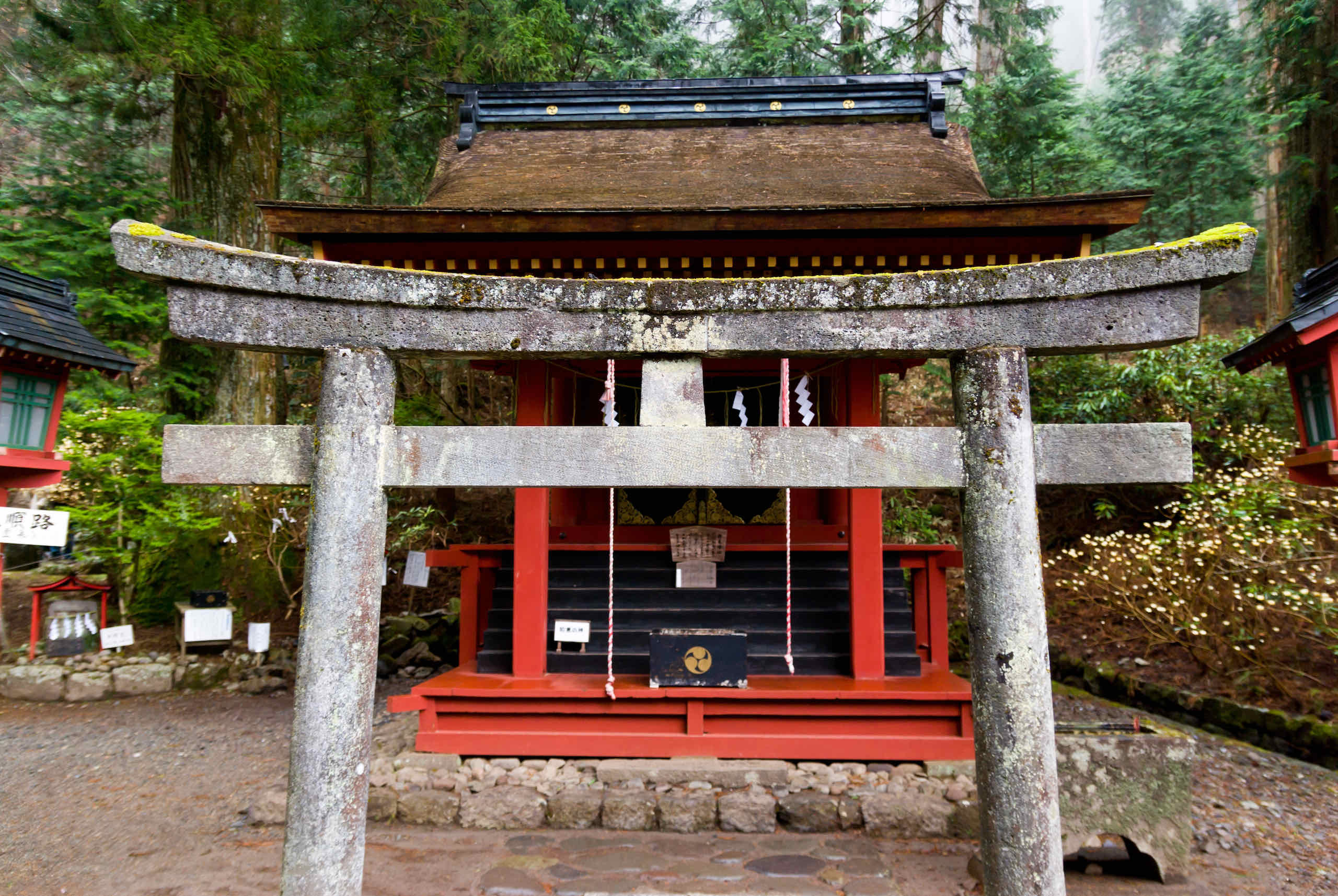 mitomo shrine (朋友神社)
