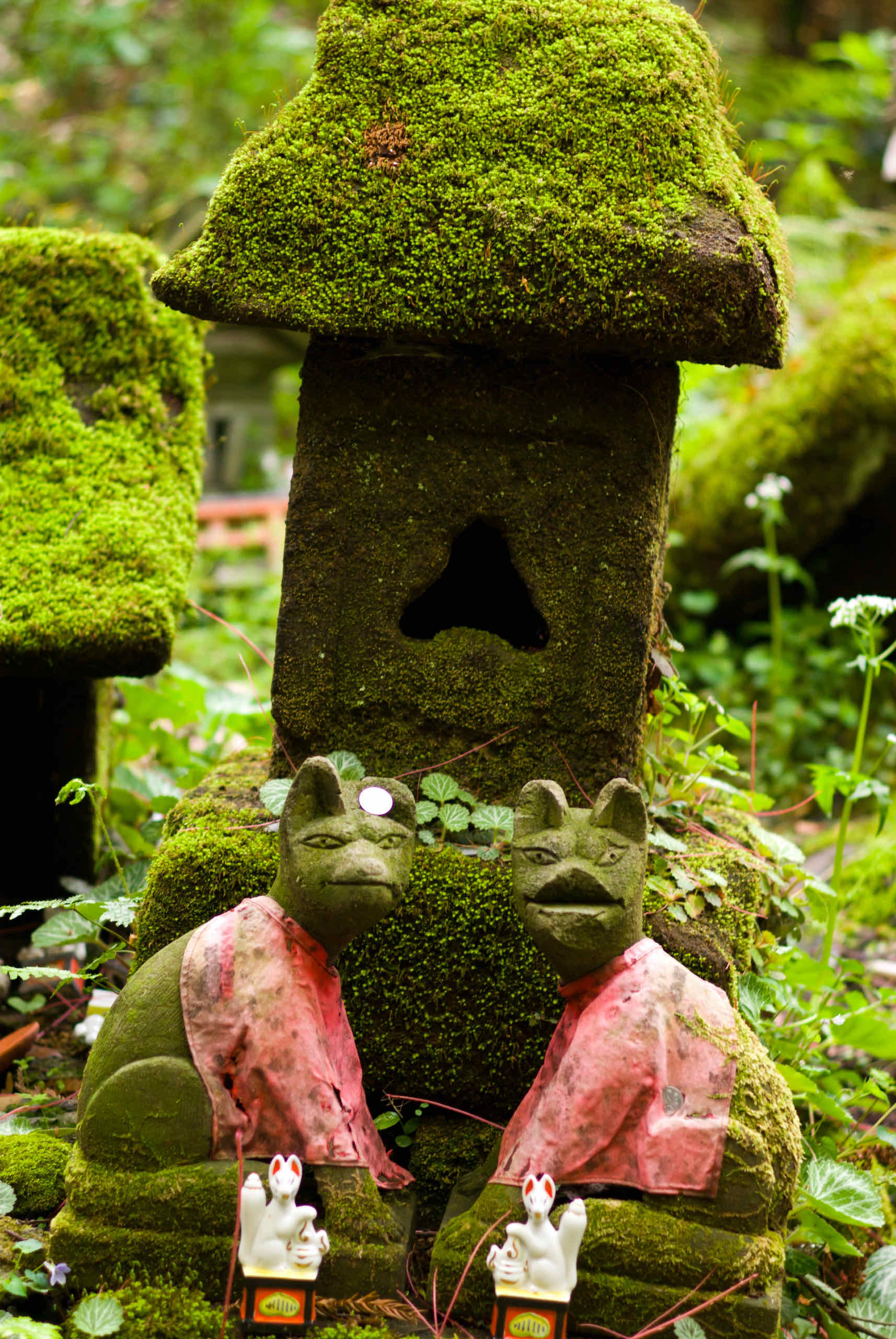 sasuke inari shrine