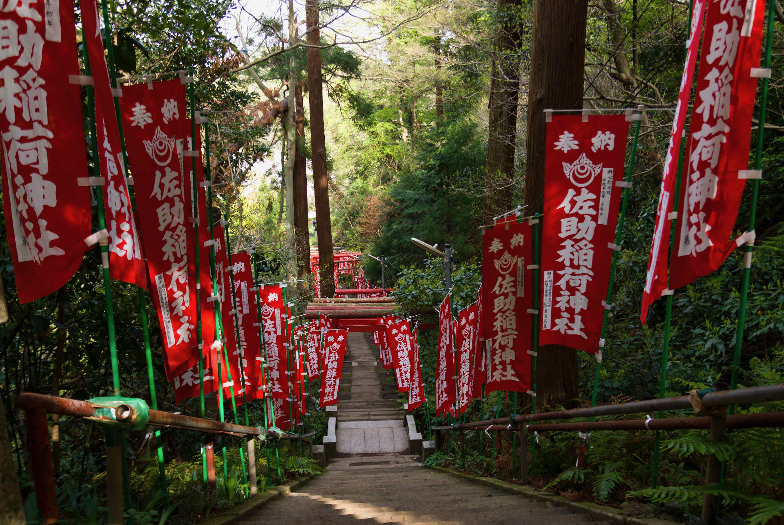 sasuke inari shrine