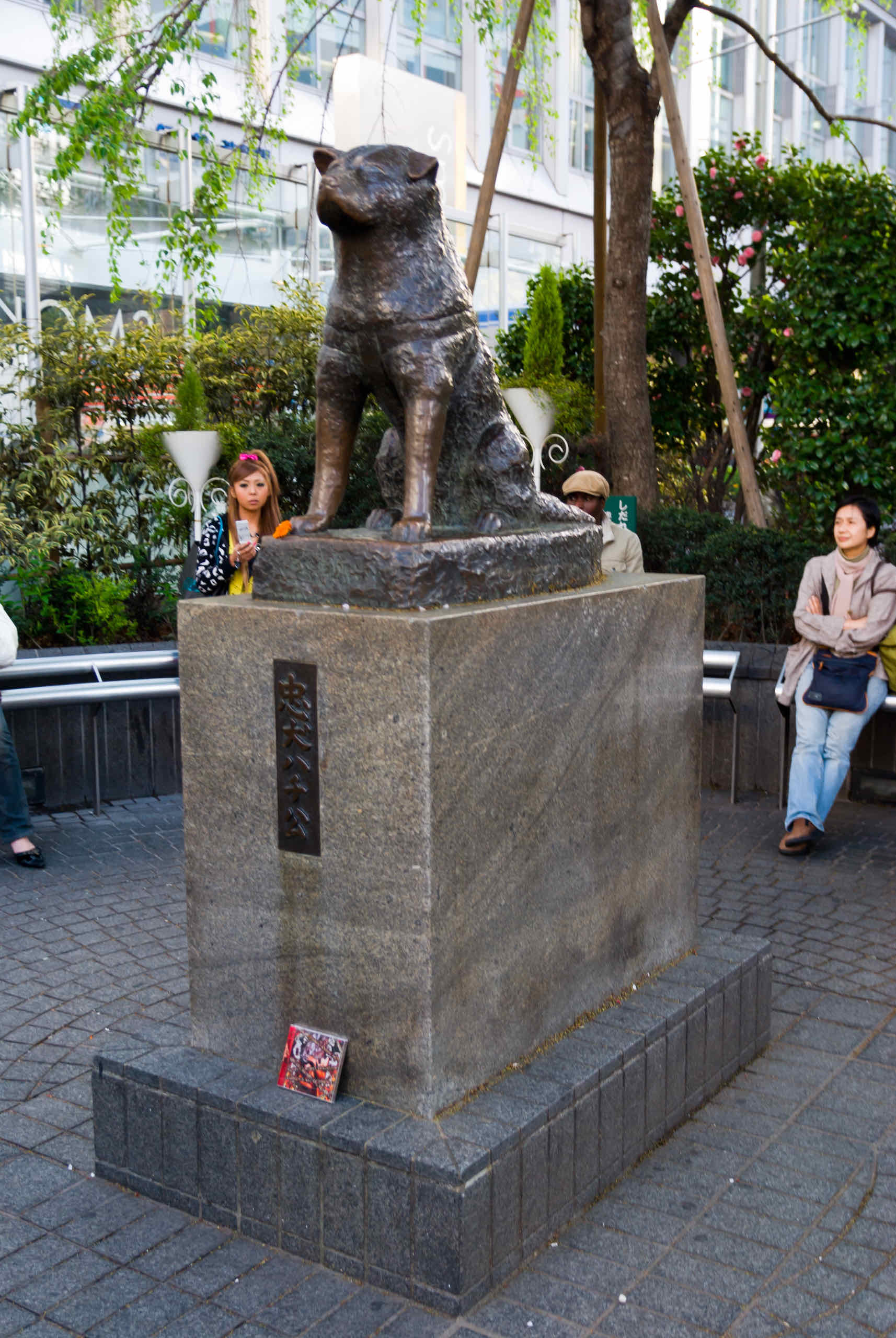 statue of hachikou (ハチ公)